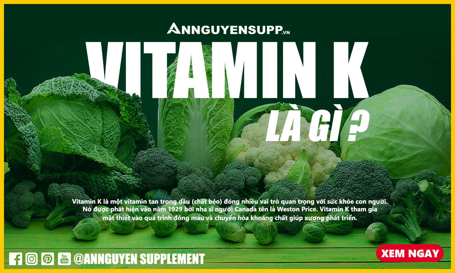 Vitamin K là gì ? Vitamin K có tác dụng như thế nào ? Những thực phẩm