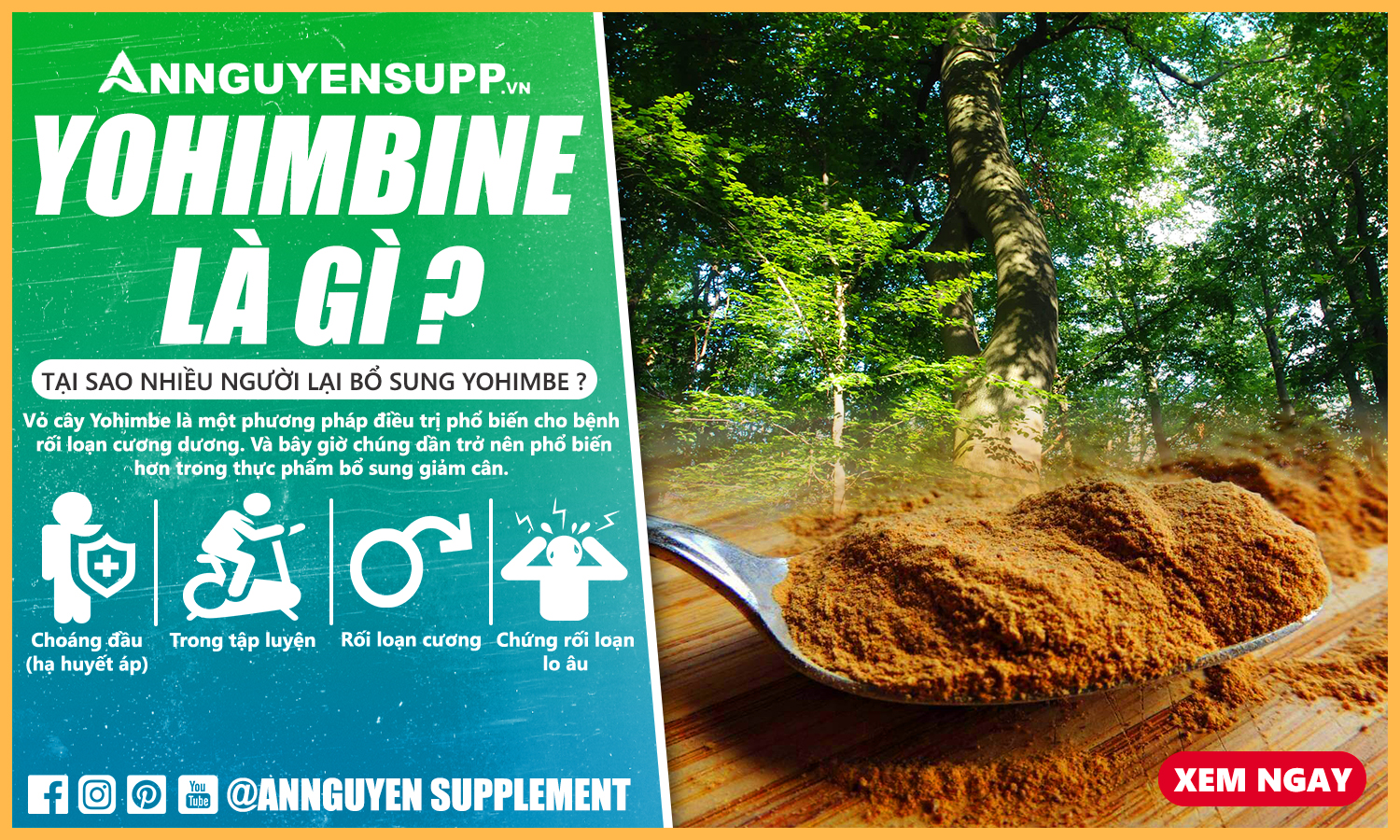 Thành phần Yohimbe hcl là gì ? Tại sao nhiều người bổ sung Yohimbe