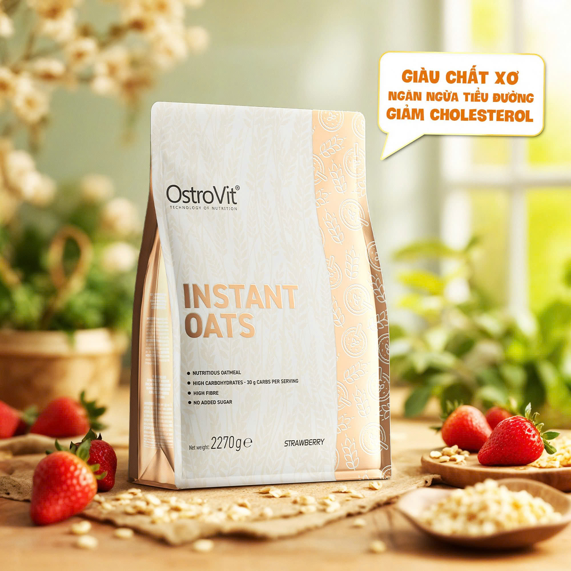 490984762_1115052240648928_8675090257695516888_n